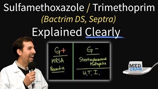 SulfamethoxazoleTrimethoprim Bactrim Septra Uses Coverage Dosage UTI Treatment Etc [upl. by Ariek]