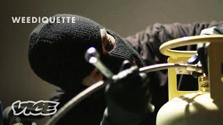 Making Weed Concentrates in an Underground Lab  WEEDIQUETTE [upl. by Rafaello637]