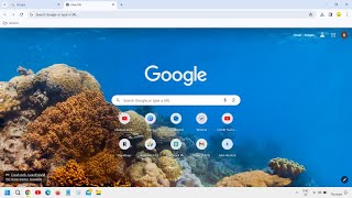 How To Change Google Chrome Theme  Change Chrome Background Theme [upl. by Humble]