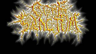 Technical Slamming Brutal Death Metal Breakdowns PART 2 [upl. by Chickie]