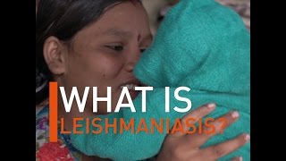 What is Leishmaniasis [upl. by Gladdie]