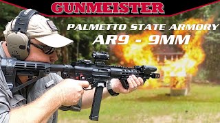 9mm AR15  PSA GX9 REVIEW [upl. by Racklin]