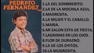 Pedro Fernández SUS MEJORES CANCIONES MIX DE EXITOS ROMANTICOS [upl. by Pauline]