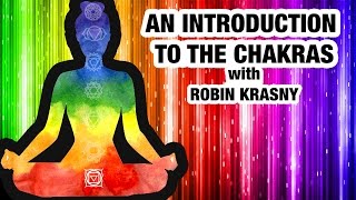 Beginners Guide to Chakras  Everything You Need to Know About Chakras [upl. by Eiznyl]