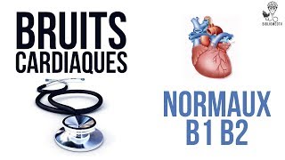 Ecoutez les Bruits Cardiaques Normaux B1 B2 [upl. by Urson]