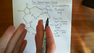 The Heme Group and Hemoglobin Part 1 [upl. by Ssilem]