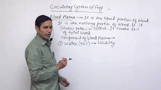 Class 11 Zoology digestive of frog part 2 [upl. by Anada]