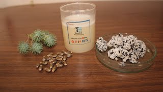 Extract Castor oil from Castor Seeds [upl. by Haroved]