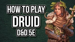 HOW TO PLAY DRUID [upl. by Rosalia]