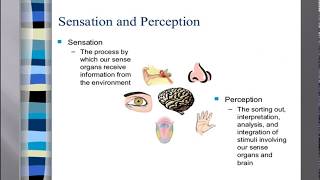 Perceptual Processes 1 sensation and perception basic concept [upl. by Peria]