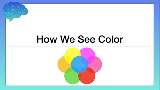 How do Humans Perceive Color [upl. by Indihar]