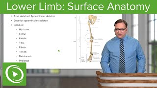 Lower Limb Surface Anatomy amp Osteology – Anatomy  Lecturio [upl. by Sucramed849]