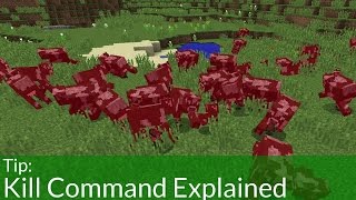 Kill Command Explained [upl. by Malcah392]