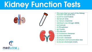 Kidney Function Tests and Interpretation of Results [upl. by Eiznikam486]