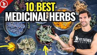 Top 10 Best Medicinal Herbs  For Health amp Vitality [upl. by Kelsi]