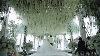 Chiz Escudero and Heart Evangelista  Balesin Wedding Video [upl. by Kuska]