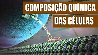 Composição química das células [upl. by Byrle14]