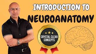 Intro to Neuroanatomy  Neurophysiology  Neuroscience  Central Nervous System [upl. by Dnumde]