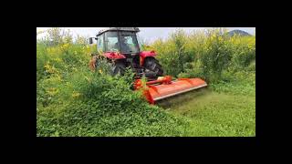 Kubota Mulcher Demo [upl. by Oirobil]