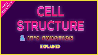 Cell Structure and Function  Diagram  Explained  NCERT  Class 11 [upl. by Alrzc]