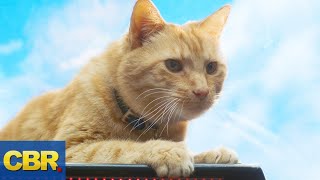 What Nobody Realized About Goose The Cat In Captain Marvel [upl. by Leschen190]