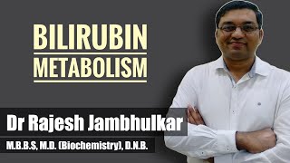 Bilirubin metabolism  Heme catabolism by Dr Rajesh Jambhulkar [upl. by Opaline188]