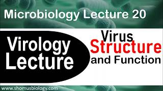 Virology lecture 1  Virus structure and classification [upl. by Chouest673]