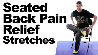 Seated Back Pain Relief Stretches [upl. by Suzanne]