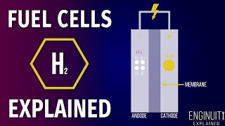 Hydrogen Fuel Cell How It Works [upl. by Etteraj]