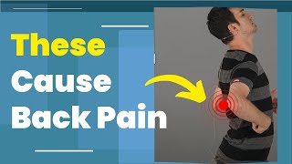 Back Pain Prevention Exercises by Expert [upl. by Teplitz609]