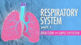 Neonatal Resuscitation Overview amp Apgar Score – Pediatrics  Lecturio [upl. by Laeynad231]