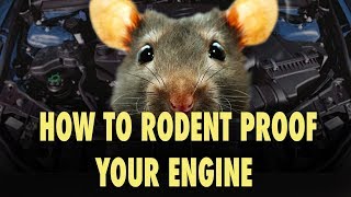 How to Rodent Proof Your Engine  The Easy Way [upl. by Buerger]