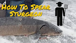 How To Spear Sturgeon Sturgeon Spearing Lake Winnebago [upl. by Hameerak]