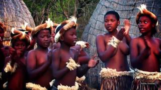 Beautiful Traditional African Zulu Dancing Africa Travel Channel [upl. by Ebanreb538]