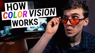 How COLOR VISION Works Types of Color Blindness Genetics amp Disease [upl. by Nairrod]