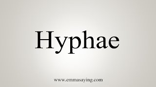 How To Say Hyphae [upl. by Burrell]