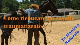 Come rieducare un cavallo traumatizzato [upl. by Lepine959]