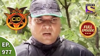 CID  सीआईडी  Ep 977 Jungle Mystery  Full Episode [upl. by Leonsis779]