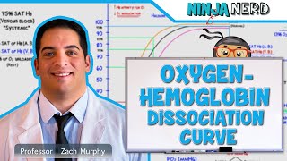 Respiratory  OxygenHemoglobin Dissociation Curve [upl. by Elatia277]