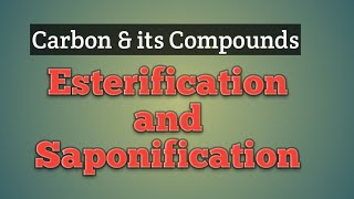 Chemical Reactions Part 4  Esterification  Saponification [upl. by Anirbus]