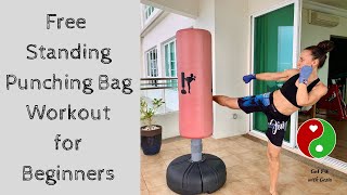 Free Standing Punching Bag Workout for Beginners [upl. by Malcah]