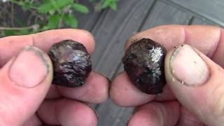 CLEANING GARNETS WITH ROCK TUMBLER [upl. by Rashidi993]