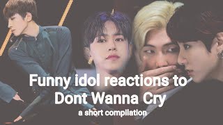 Funny Idol Reactions to Dont Wanna Cry SEVENTEEN 세븐틴 [upl. by Upali]