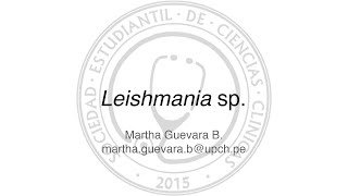 Leishmania sp [upl. by Aiel]