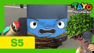 Tayo S5 EP7 l Tayos bird friend l Tayo the Little Bus [upl. by Garold396]