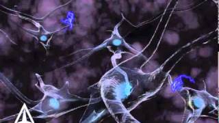 How Neurotransmission amp brain signals work  3D animation [upl. by Eiramanad28]