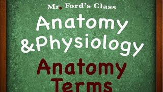 Introduction To Anatomy Physiology Anatomy Terms 0102 [upl. by Rachel]