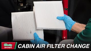 How to Optimize a Canister Filter [upl. by Hctud502]