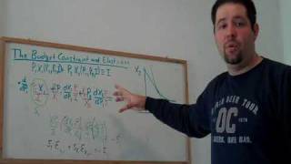 15a Budget Constraint Elasticities CalculusBased [upl. by Zebulon]