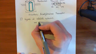 Introduction to Nicotinic Acetylcholine Receptors Part 1 [upl. by Erised]